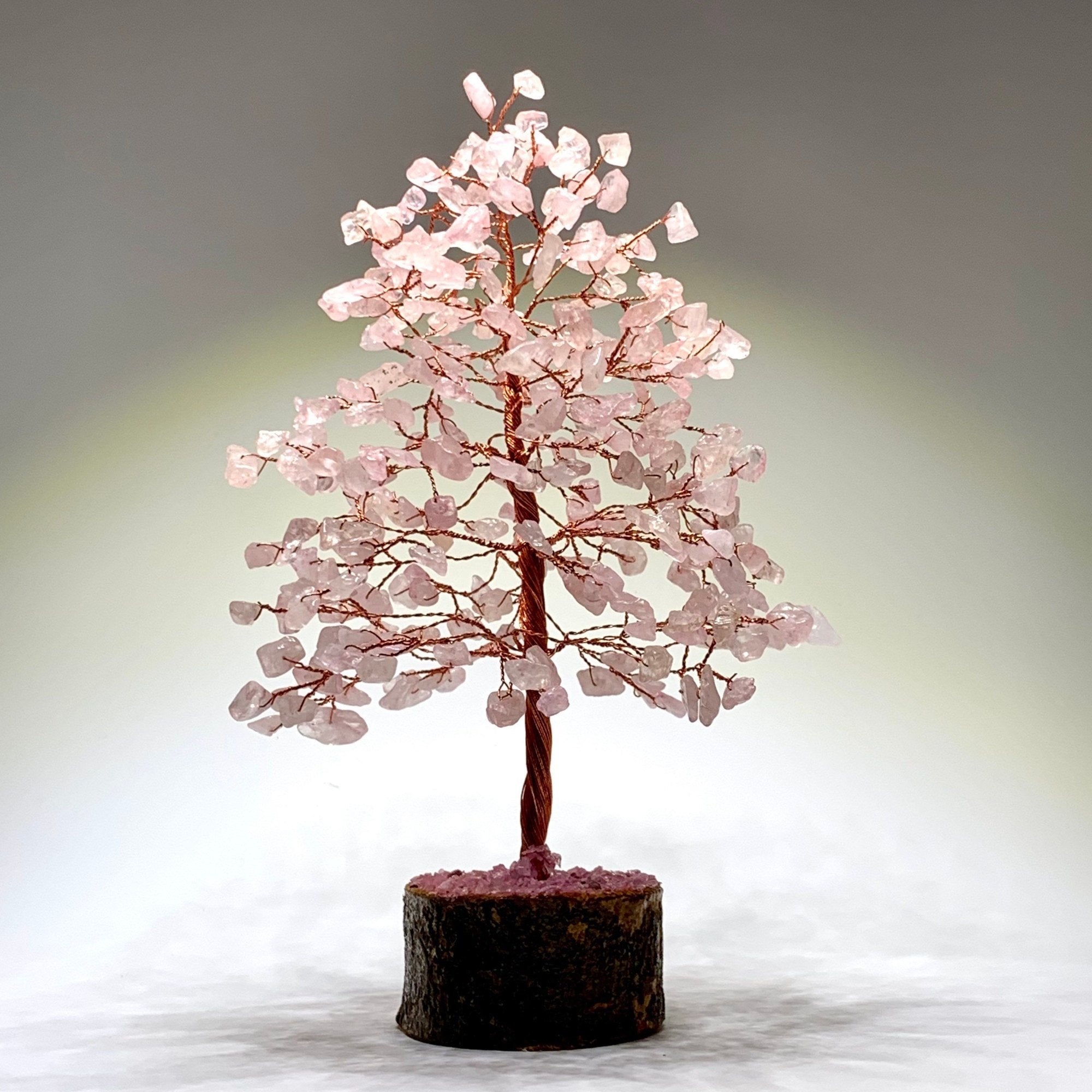 Rose Quartz Gem Plant